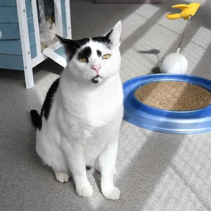 Francois thumbnail 2