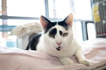 Francois thumbnail 3