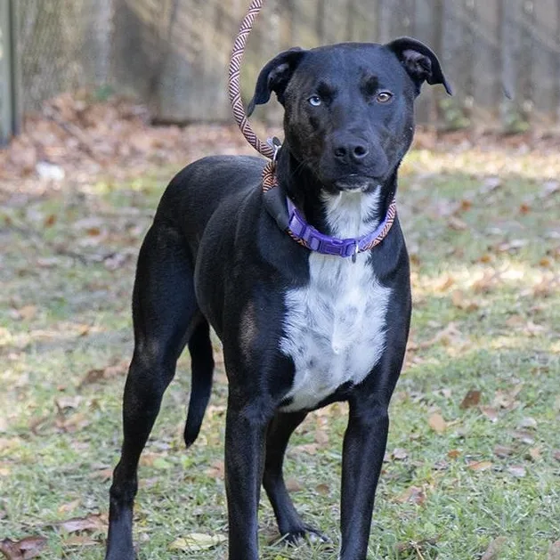 Marli Moo thumbnail 2