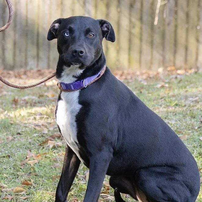 Marli Moo thumbnail 3