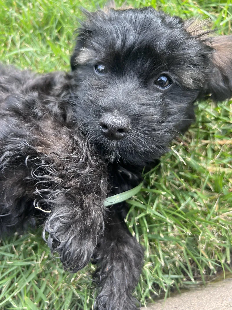 Money: Franc thumbnail 2