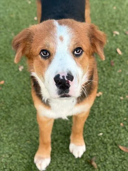 Prince Fiyero thumbnail 2