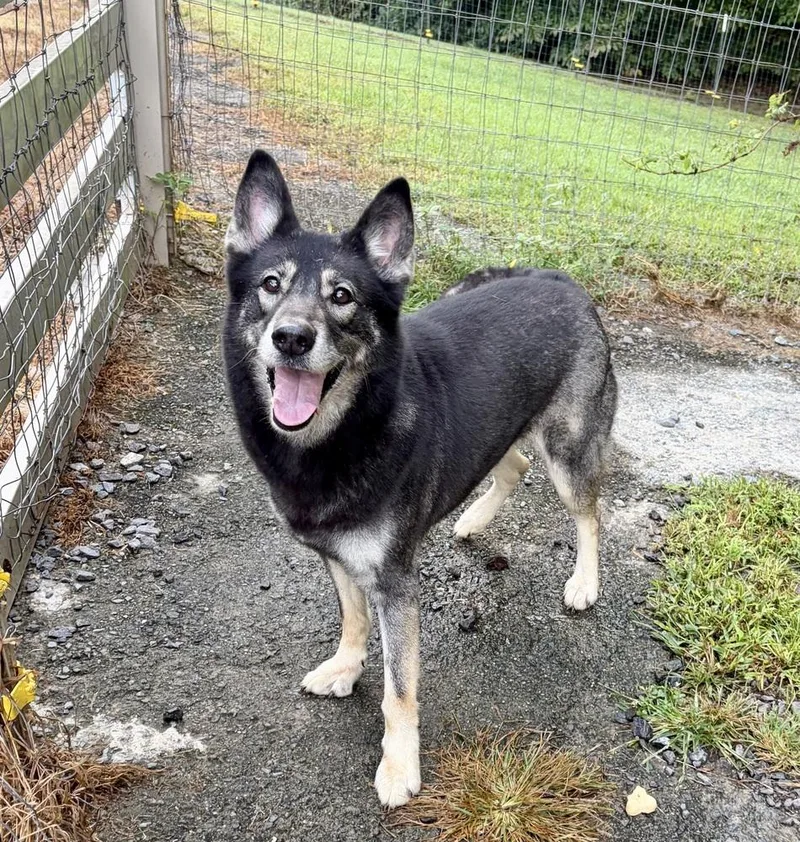 Fiona