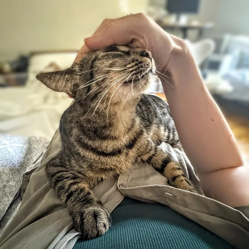 Milkyway And Starburst thumbnail 2