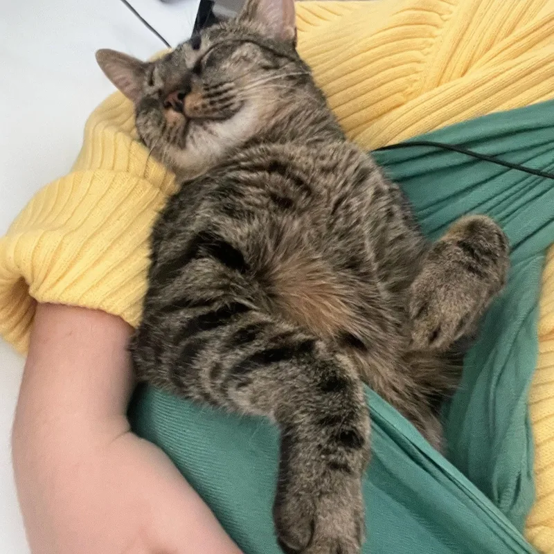 Milkyway And Starburst thumbnail 4