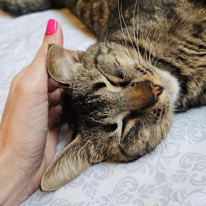 Milkyway And Starburst thumbnail 6