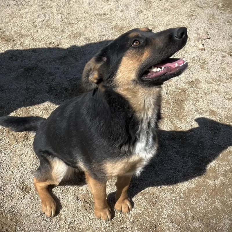 Rosie Aka Ethel thumbnail 2