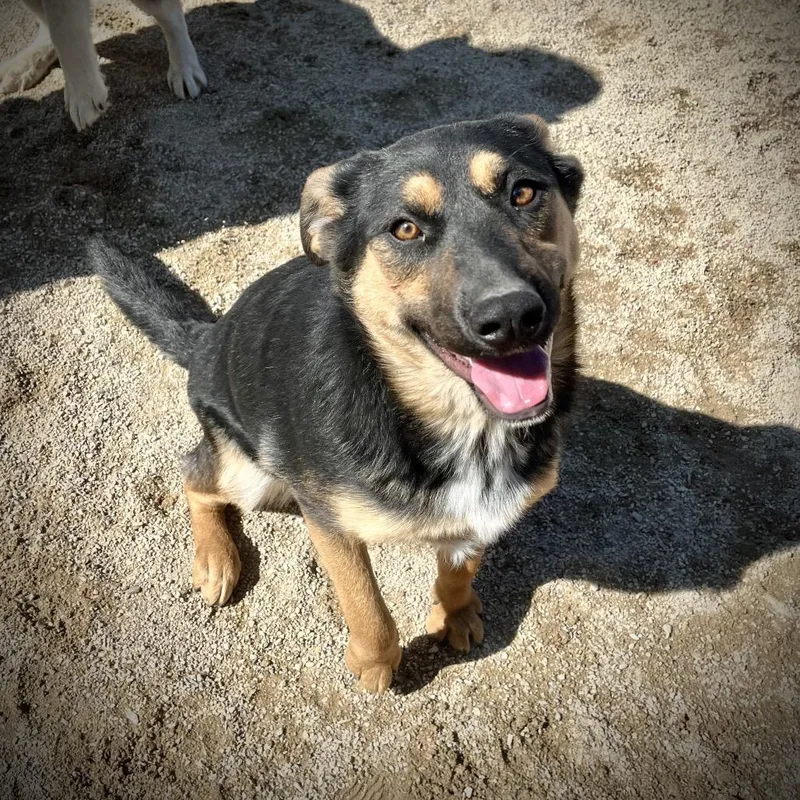 Rosie Aka Ethel thumbnail 5