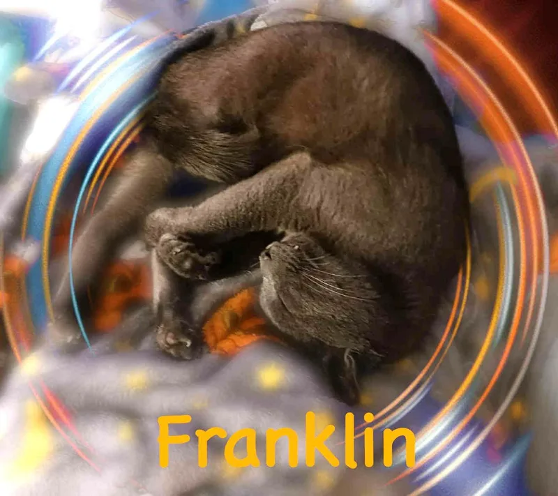 Franklin thumbnail 3