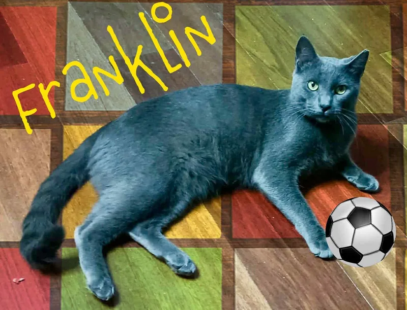 Franklin