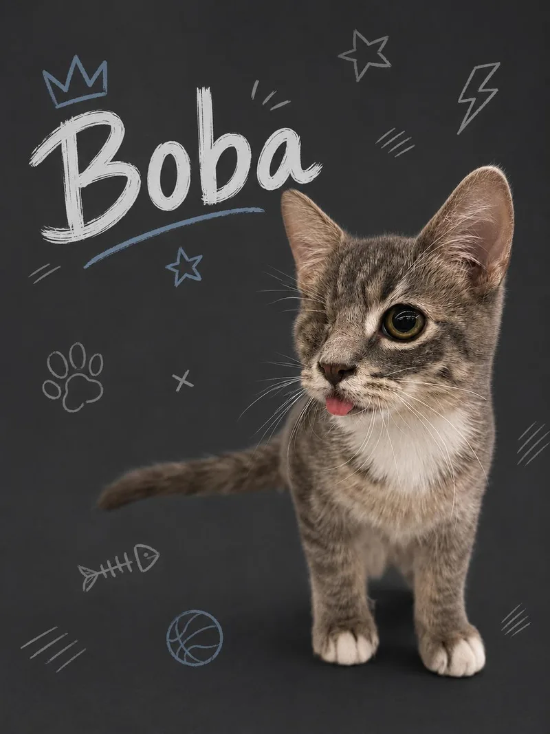 Boba w Bruce thumbnail 3
