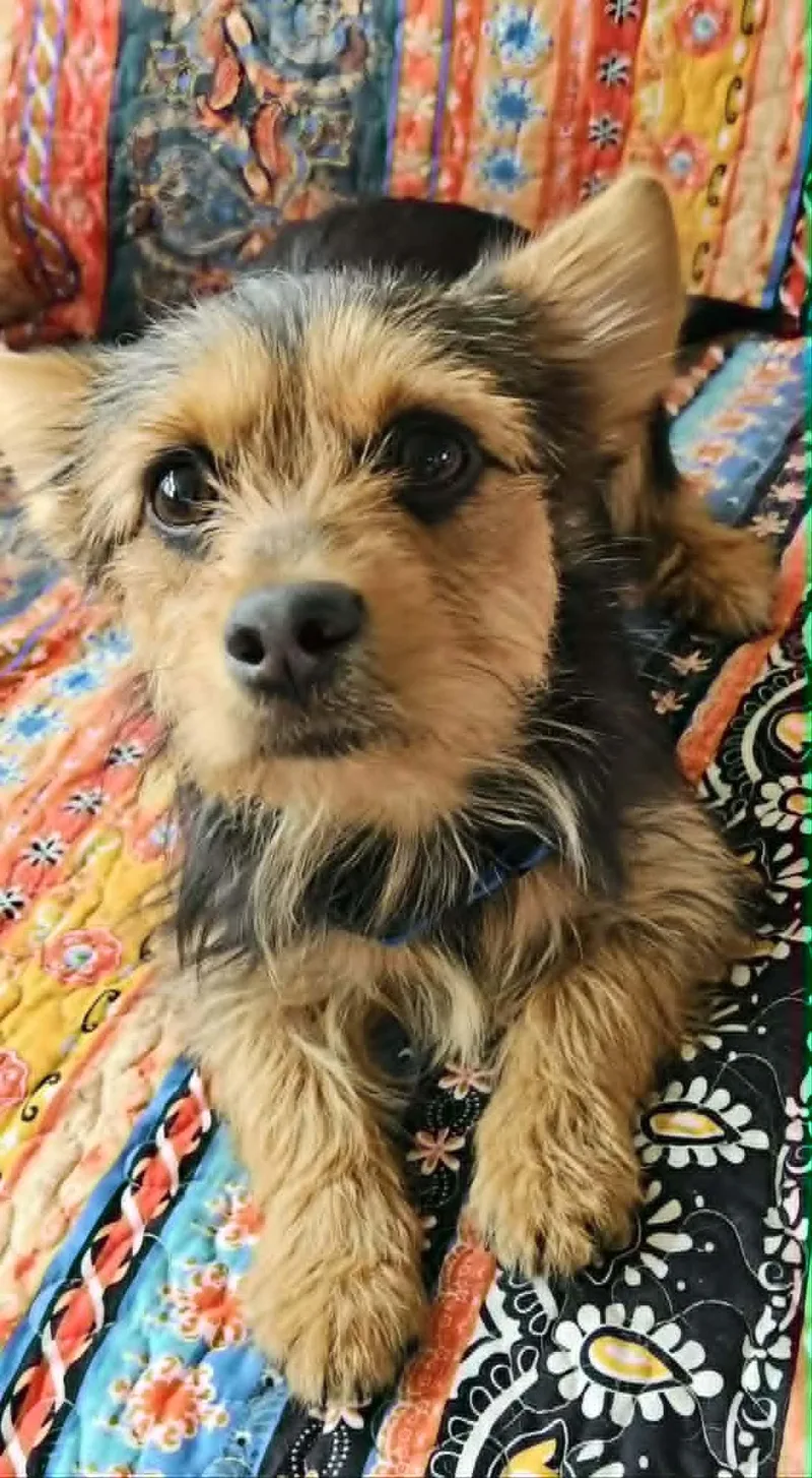 Kira