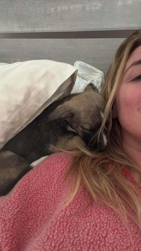 Peppermint Patty thumbnail 3