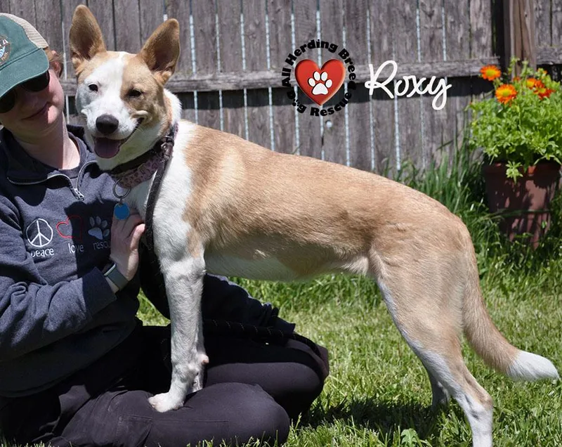Roxy thumbnail 2