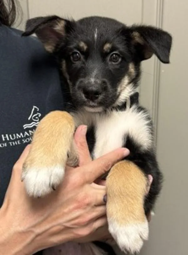 Maggie