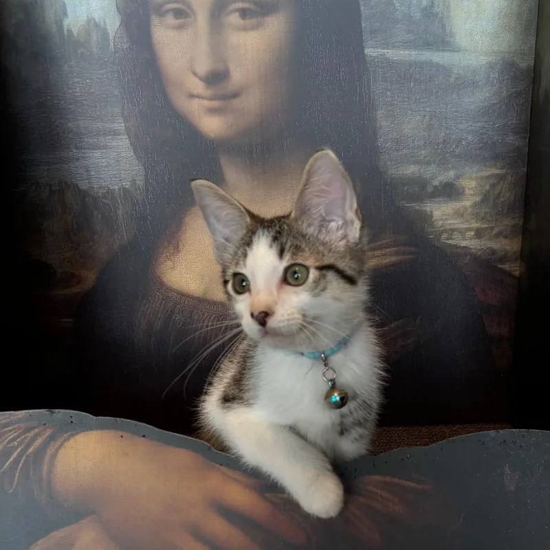 Pablo Picasso thumbnail 6