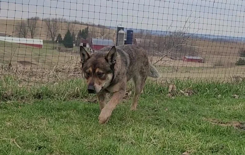 Mcdreamy thumbnail 2