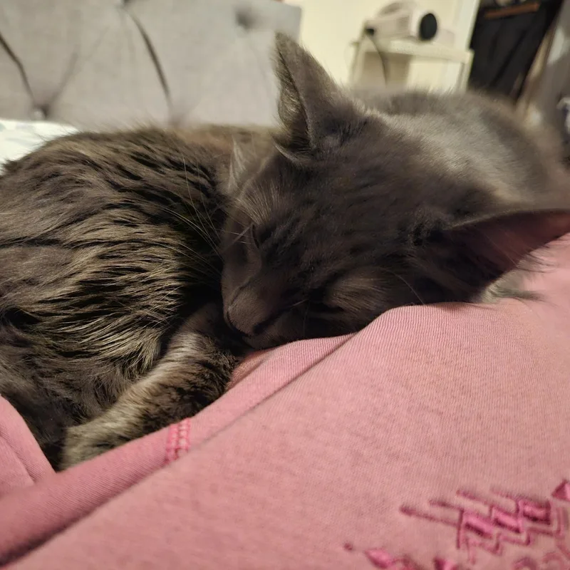 Maxine "max" thumbnail 2