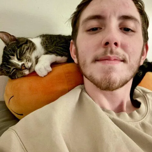 An adult medium-sized female Tabby (Brown / Chocolate) Domestic Short Hair cat named Margaret for adoption in Seven Valleys, PA