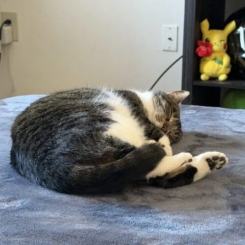 Margaret thumbnail 3