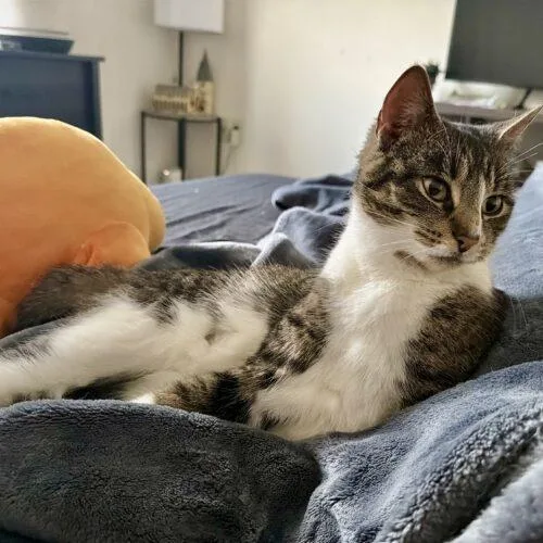 Margaret thumbnail 4