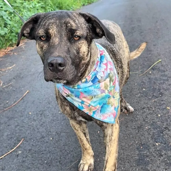 Princess Sammy "a Very thumbnail 3