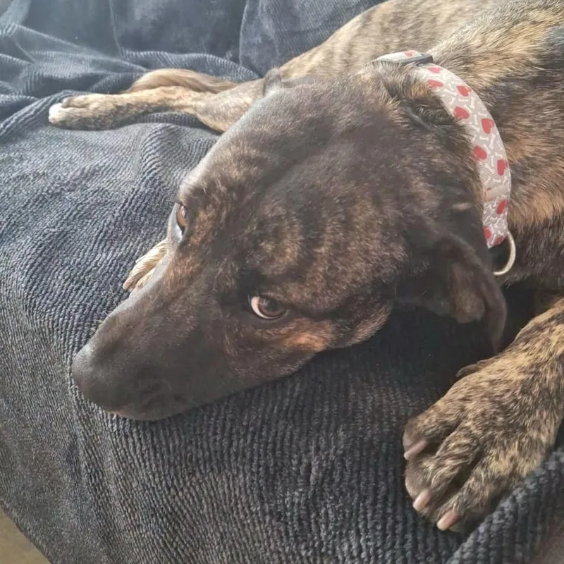 Princess Sammy "a Very thumbnail 5