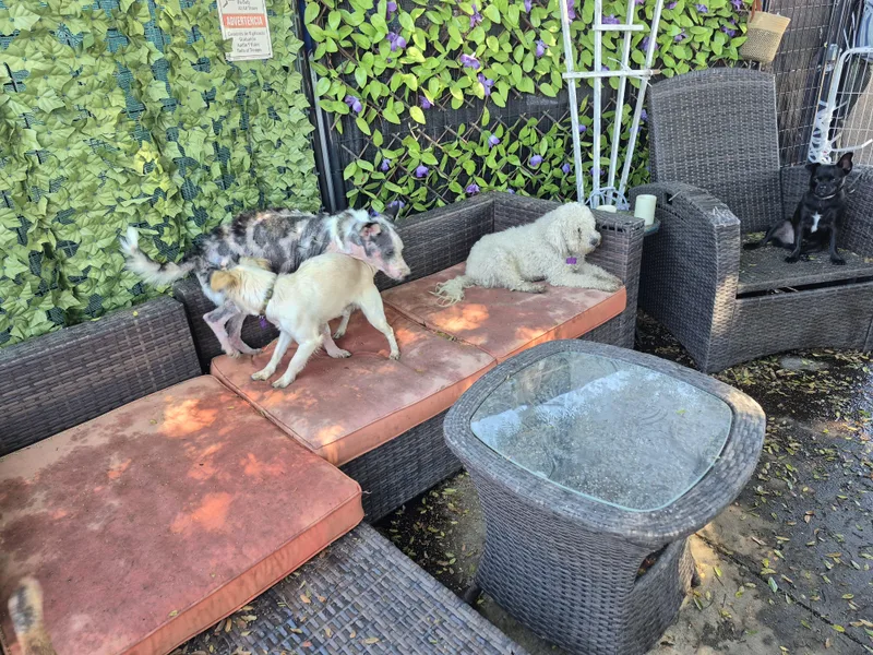 Starlight! thumbnail 3