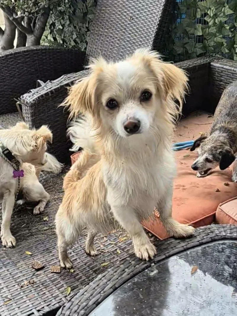 Starlight! thumbnail 5