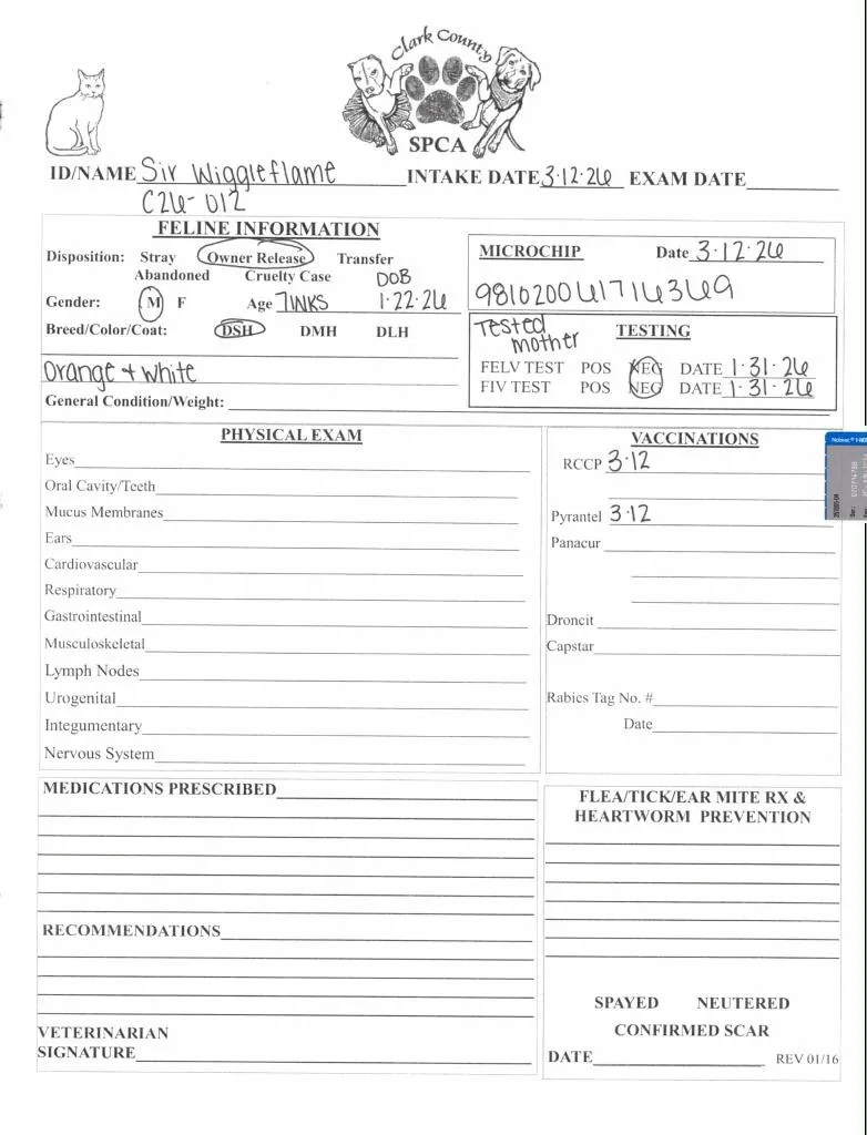 Sir Wiggleflame thumbnail 3