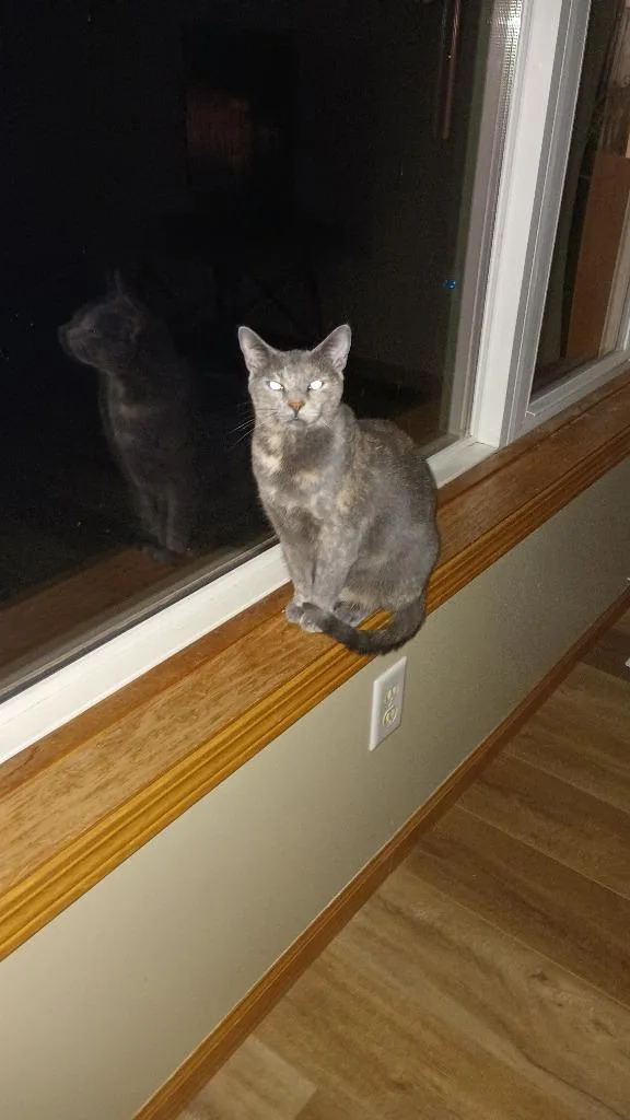 Cleopatra thumbnail 2