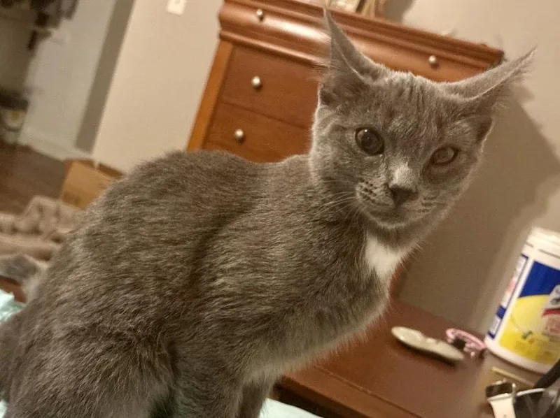 Hannelore thumbnail 2