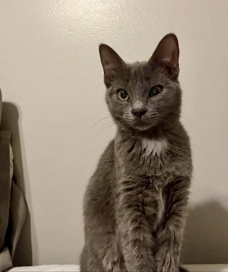 Hannelore thumbnail 3