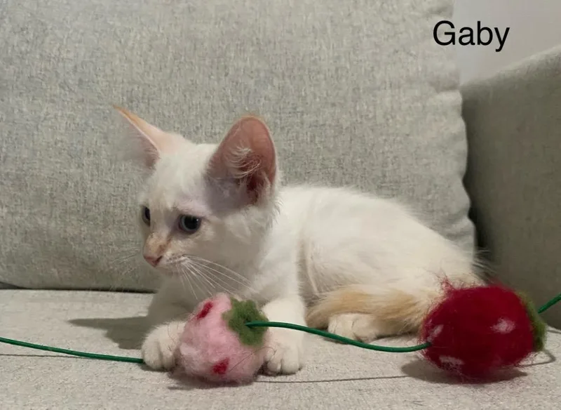 Gaby thumbnail 2
