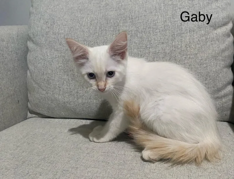 Gaby thumbnail 3