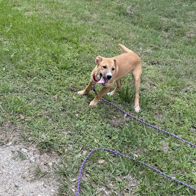 Sierra Mist thumbnail 2