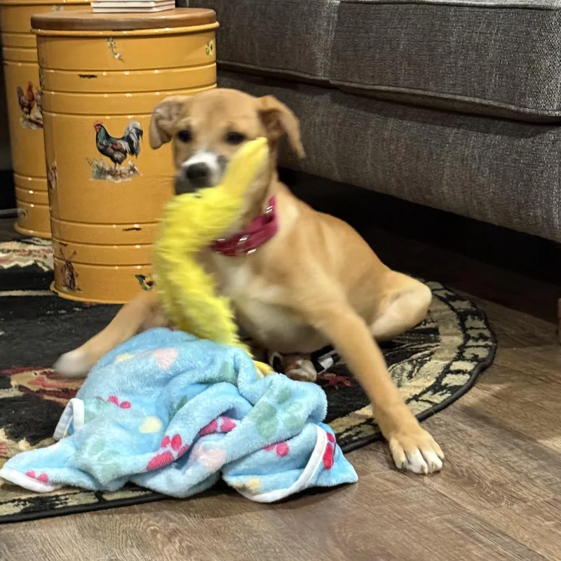 Sierra Mist thumbnail 3