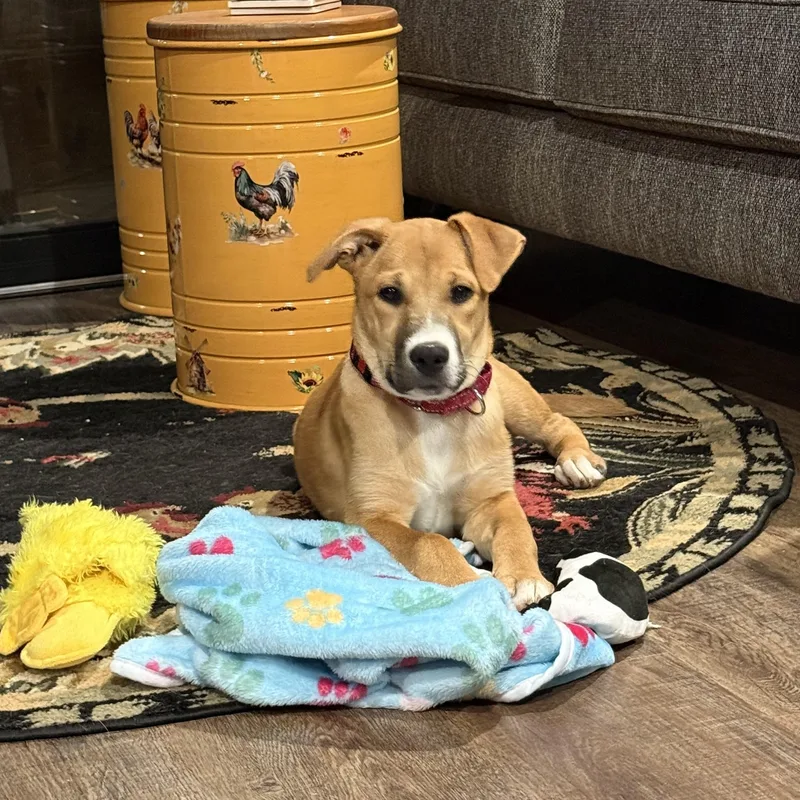 Sierra Mist thumbnail 4