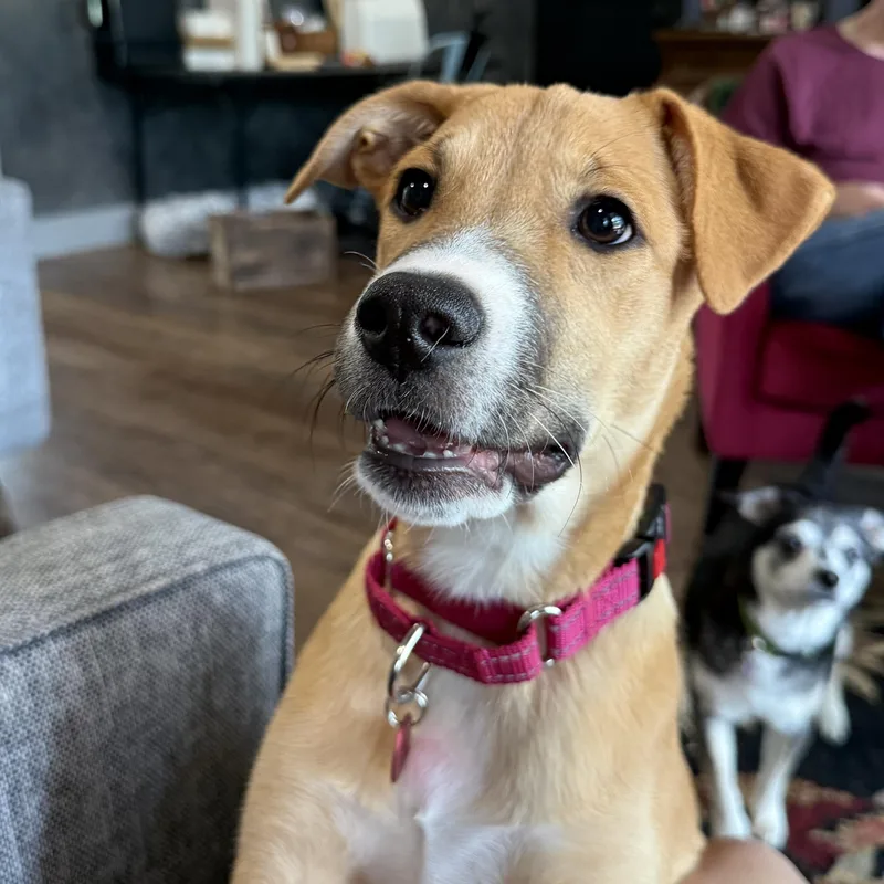 Sierra Mist thumbnail 5