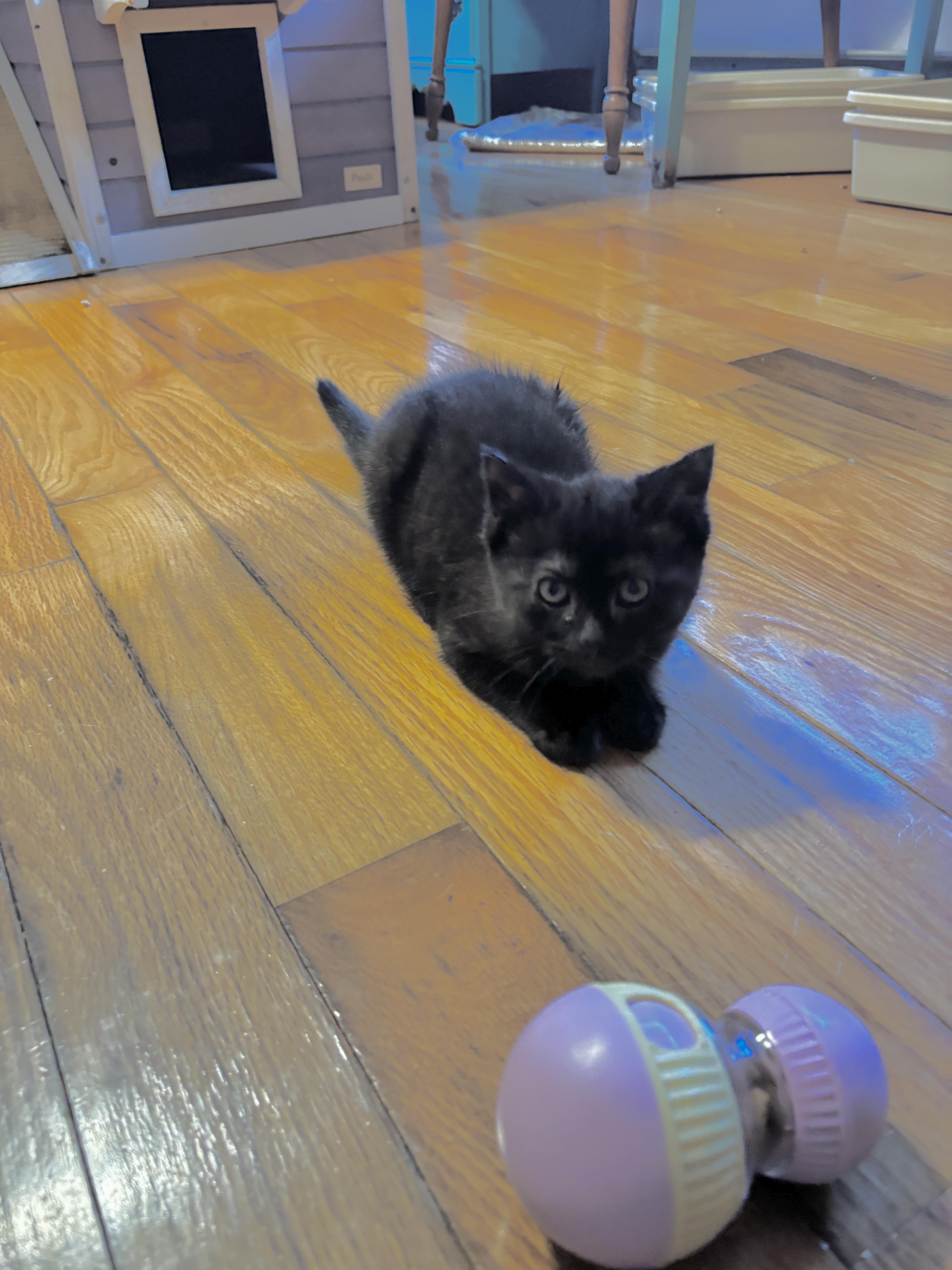 Frisbee & Tina thumbnail 6