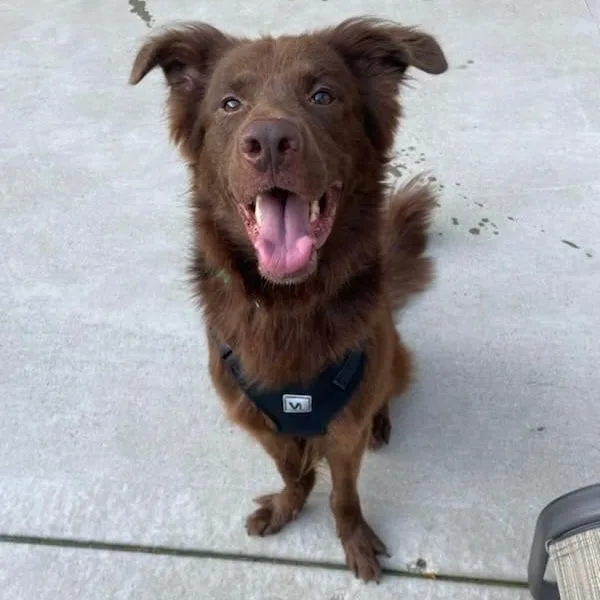 Espresso thumbnail 2