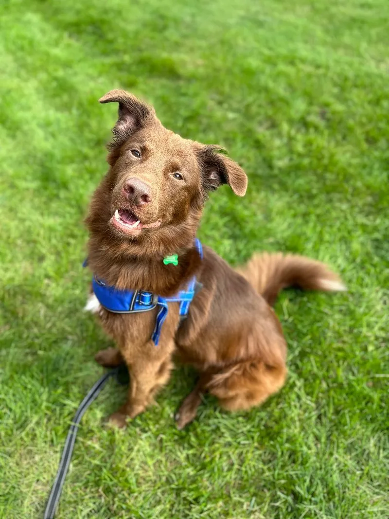 Espresso thumbnail 5