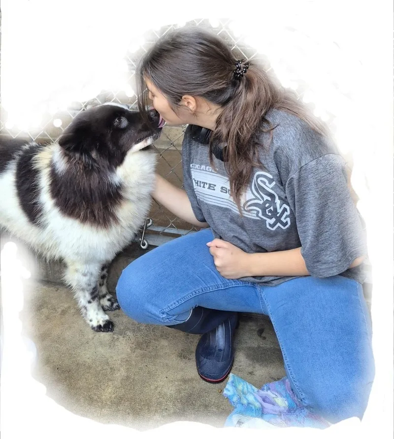 Bella Oreo Goodstuff thumbnail 2