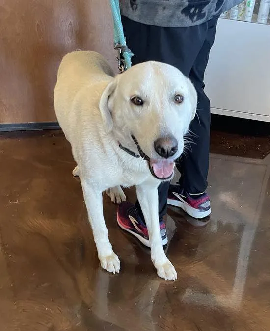 June Carter Cash thumbnail 3