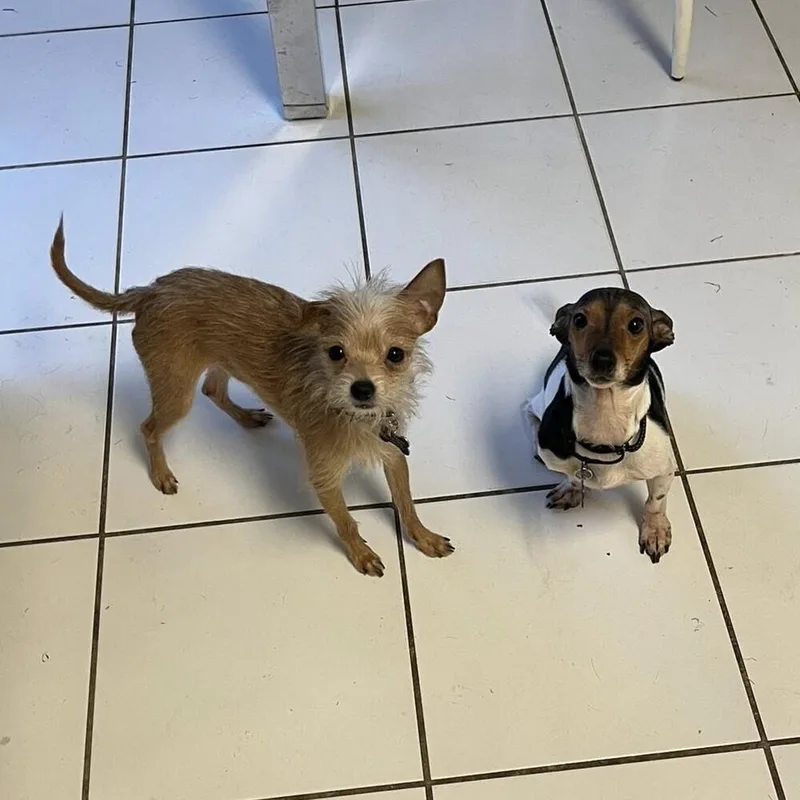 Edmund Bridgerton thumbnail 2