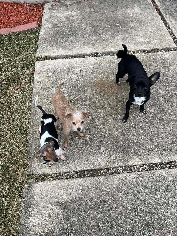 Edmund Bridgerton thumbnail 3