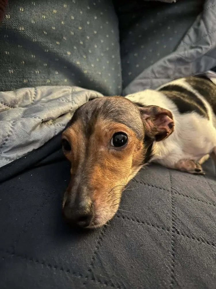 Edmund Bridgerton thumbnail 4