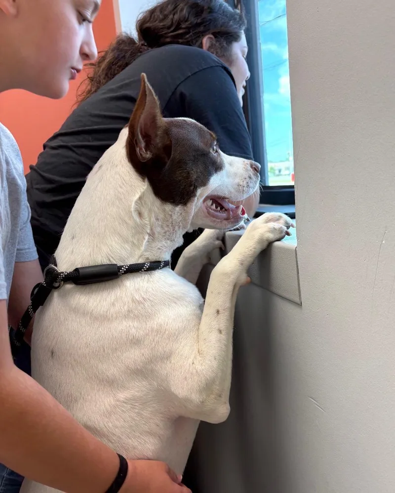Roscoe Rusk thumbnail 2
