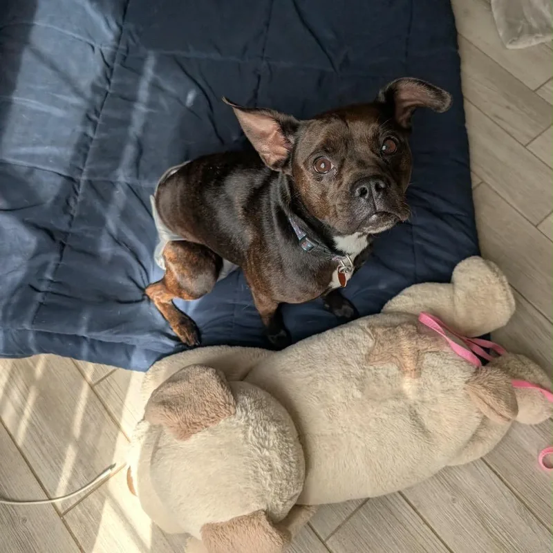 Yuna Bubbles thumbnail 2