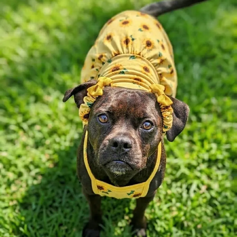 Yuna Bubbles thumbnail 3